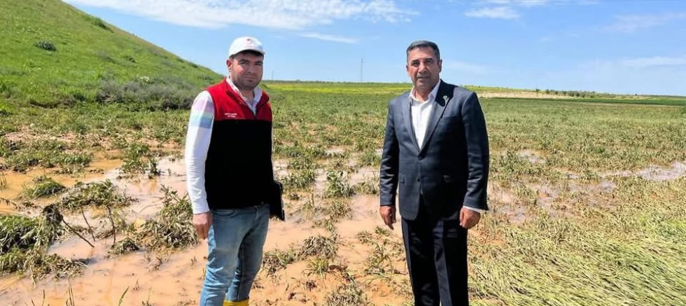 Karkamış’ta Dolu Felaketi: Tarım Arazileri Büyük Zarar Gördü