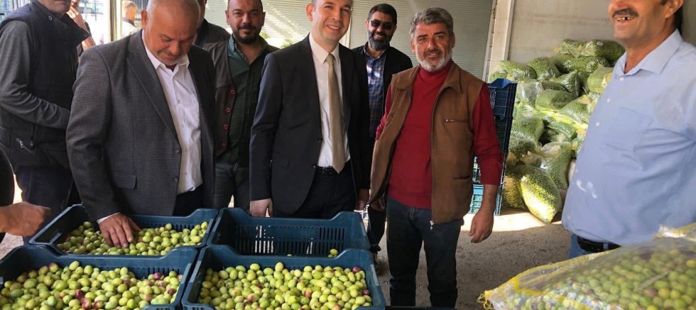 Kaymakamımız Zeytin Halin'de 