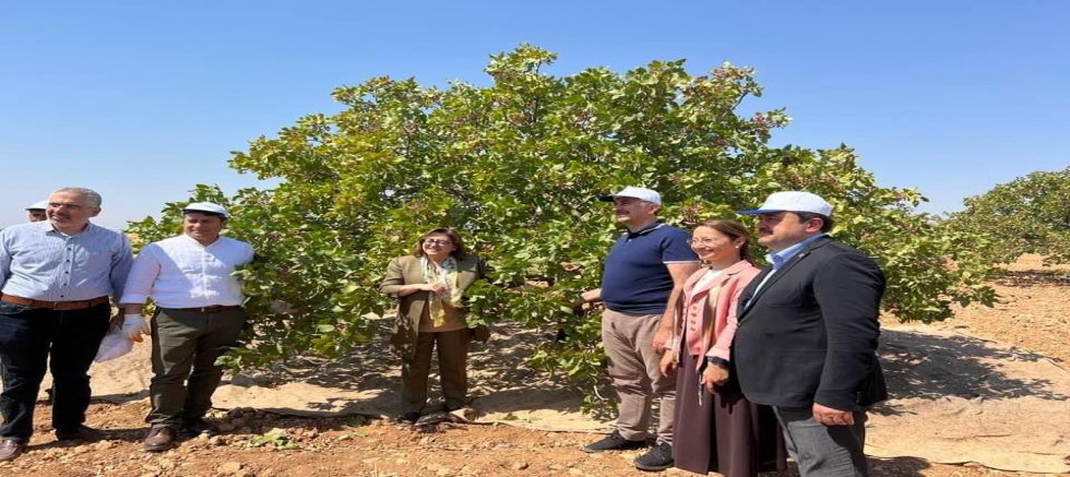 GAZİANTEP AK PARTİ İL TEŞKİLATINDAN ŞEHİDİMİZ DUABEY ÖZTÜRKMEN VE DAZHÜYÜK’İN MEDARI İFTİHARI ÇİÇEK’E ZİYARET 