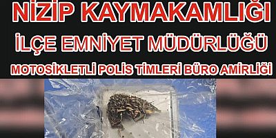 Asayiş Uygulamaları 