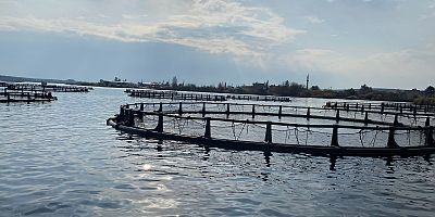 Balık Çiftçilerinden Basın açıklaması