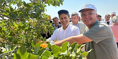 Gaziantep Milletvekili Ali Şahin'den Barak Çiftçilerine Ziyaret 