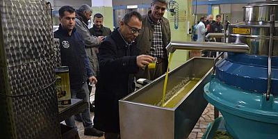 Kaymakam Çağlar Zeytinyağı Fabrikalarını Gezdi