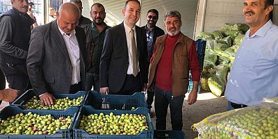 Kaymakamımız Zeytin Halin'de 