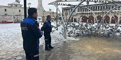 Nizip'te karla mücadele sürerken can dostları  unutulmadı