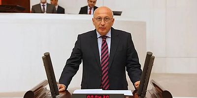 Reklamlar, Anadolu Basınını kapsamadı